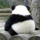 https://assets.gongji58.com/2020-08-27/x9va62ive51598532603.png!medium