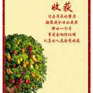 https://assets.gongji58.com/2021-07-29/7haez0v8s01627554604.png!medium