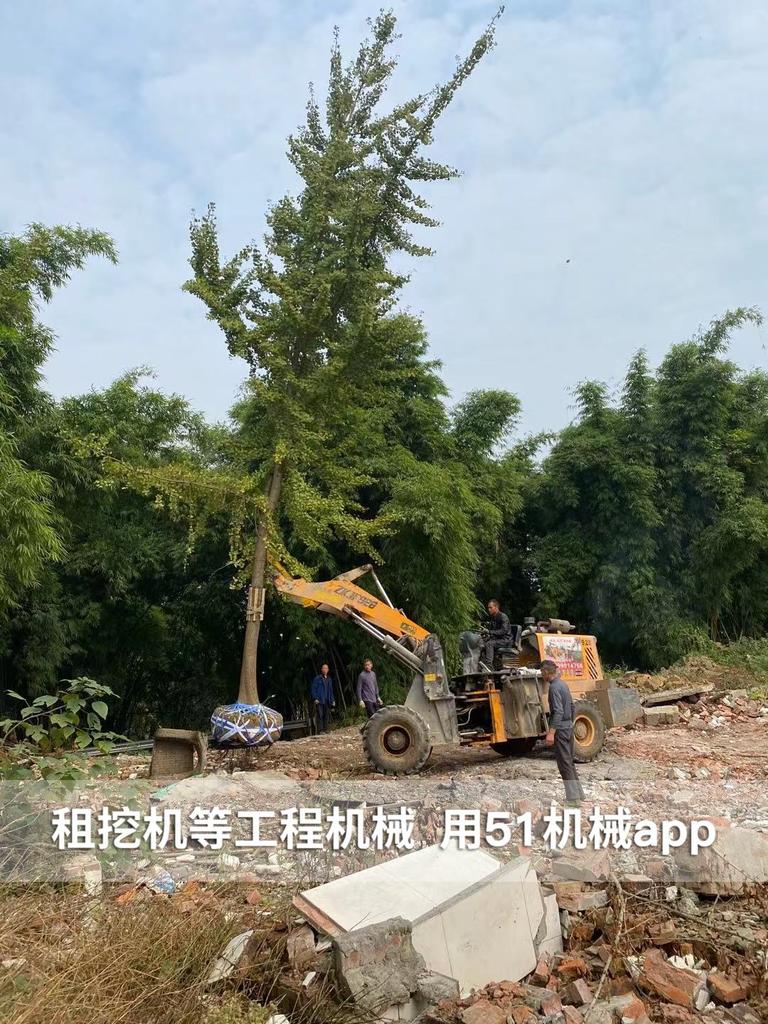 51机械
