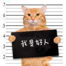 https://assets.gongji58.com/2022-10-18/t8fp57aare1666100479.png!medium