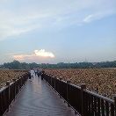 https://assets.gongji58.com/2023-10-01/403810-uandn0mlgg1696127709.jpg