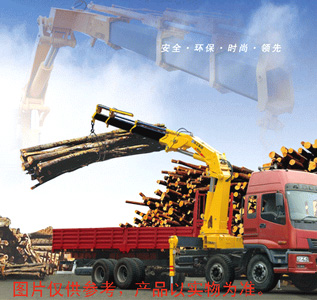 https://assets.gongji58.com/2025-05-22/crane_head/45g8lu6tpj1747914753.png
