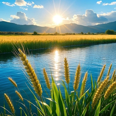 https://assets.gongji58.com/2025-06-29/1940573-u0kaf8zvki1751162005.jpg
