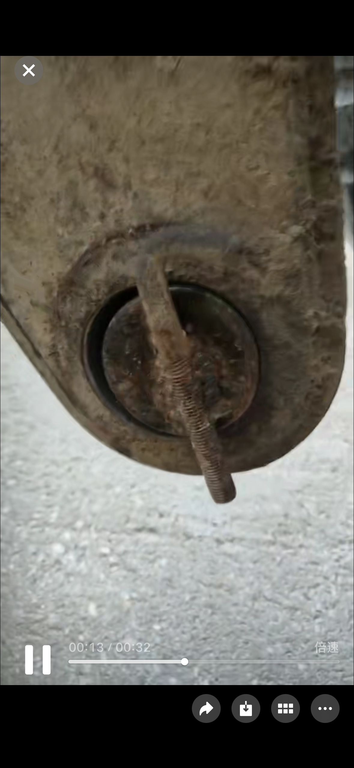 https://assets.gongji58.com/2025-09-22/2019631-dhnw0jc3x91758474538.png