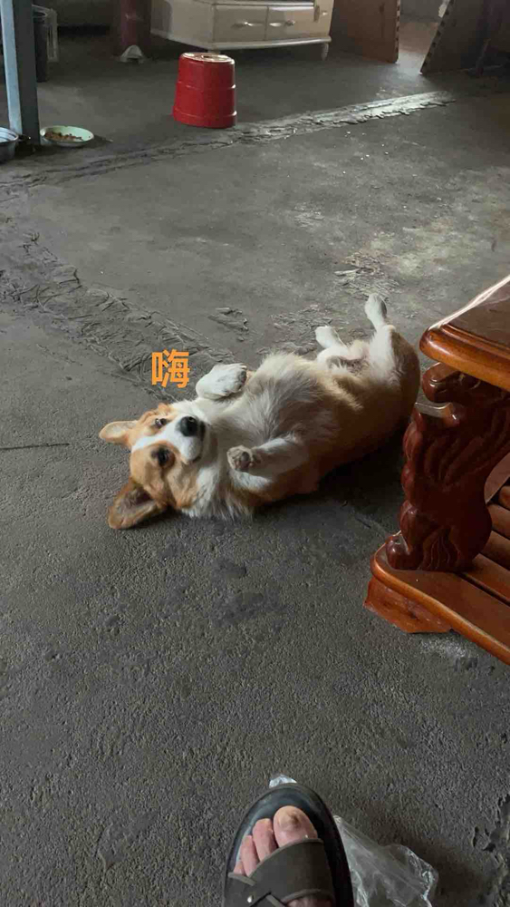 https://assets.gongji58.com/2026-05-11/2470459-osomxanu3l1778454564.jpg