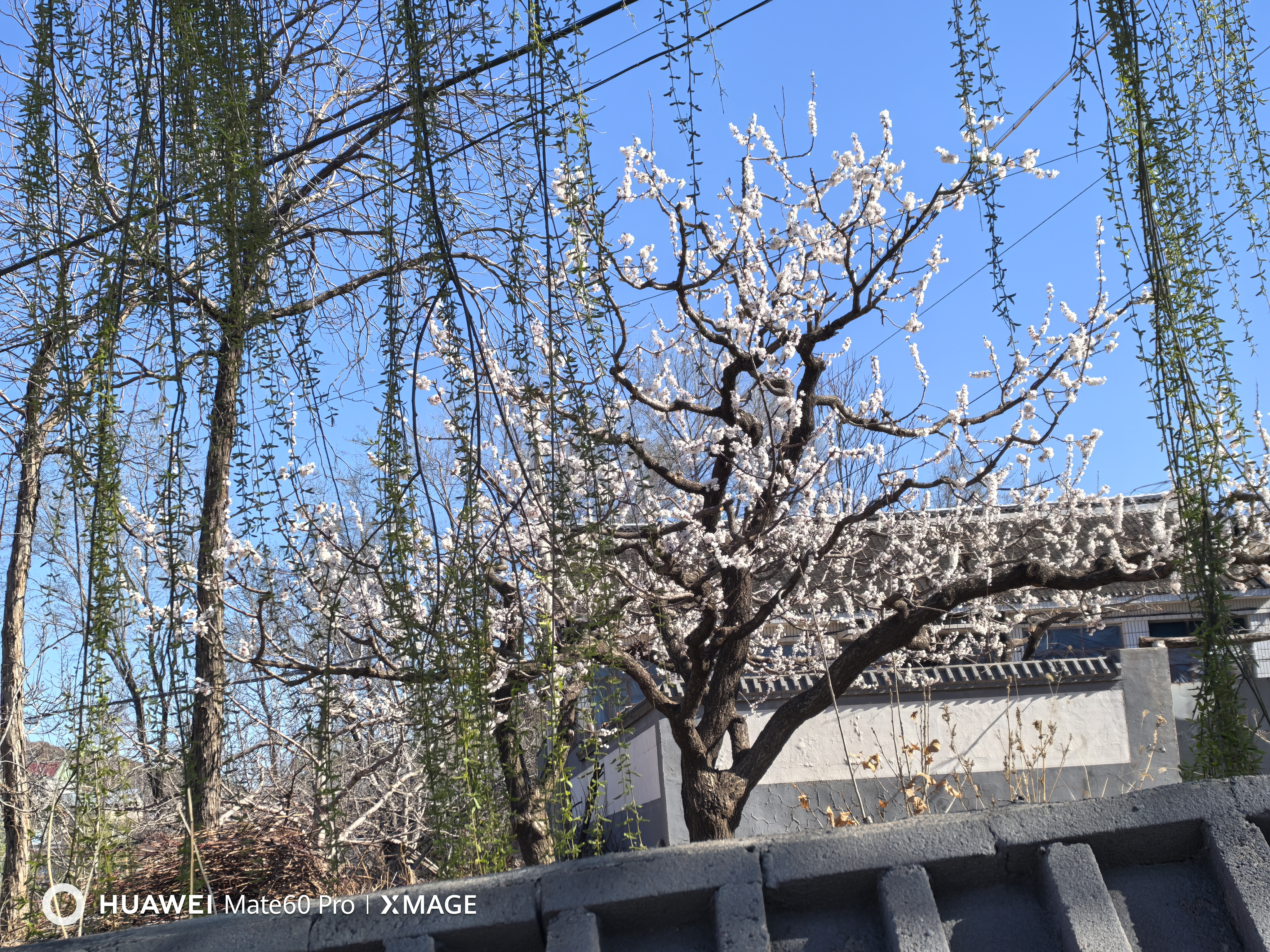 https://assets.gongji58.com/2026-05-19/2481286-vzfag8n43x1779200575.jpg