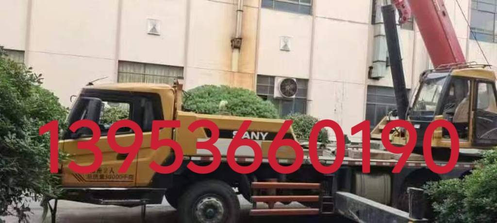 https://assets.gongji58.com/2026-05-21/2139193-k8y13oo8yy1779356104.jpg?watermark/1/image/a29kbzovL2dqZ2ovd2F0ZXJtYXJrL2RjLnBuZw/gravity/South/dx/0/dy/200/wst/2/ws/1|imageView2/0/w/1024/interlace/1