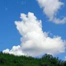 https://assets.gongji58.com/2026-05-27/2489501-df7pyydl0k1779849658.jpeg