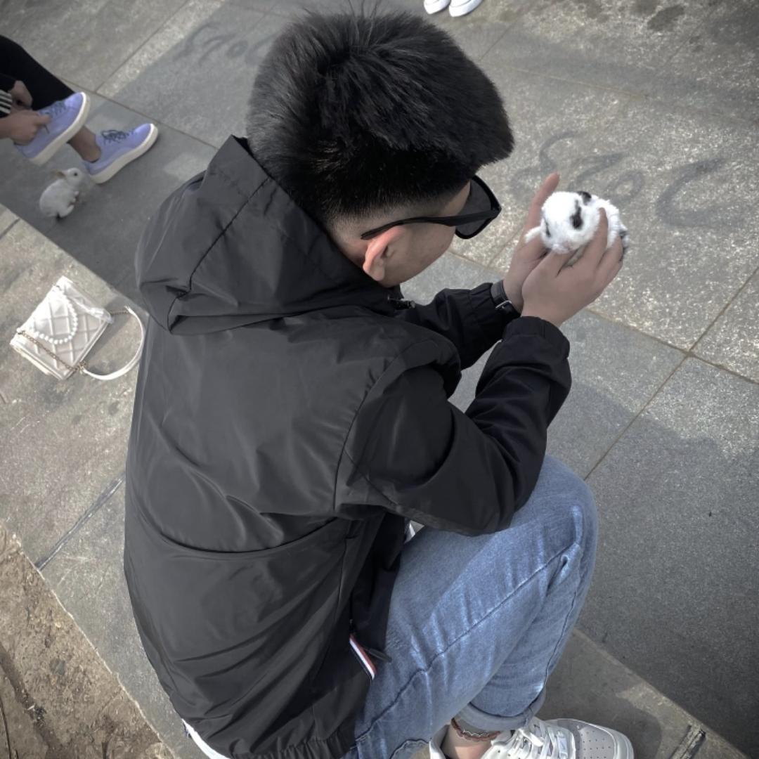 https://assets.gongji58.com/2026-07-08/2536993-gdpz368phj1783519753.jpg