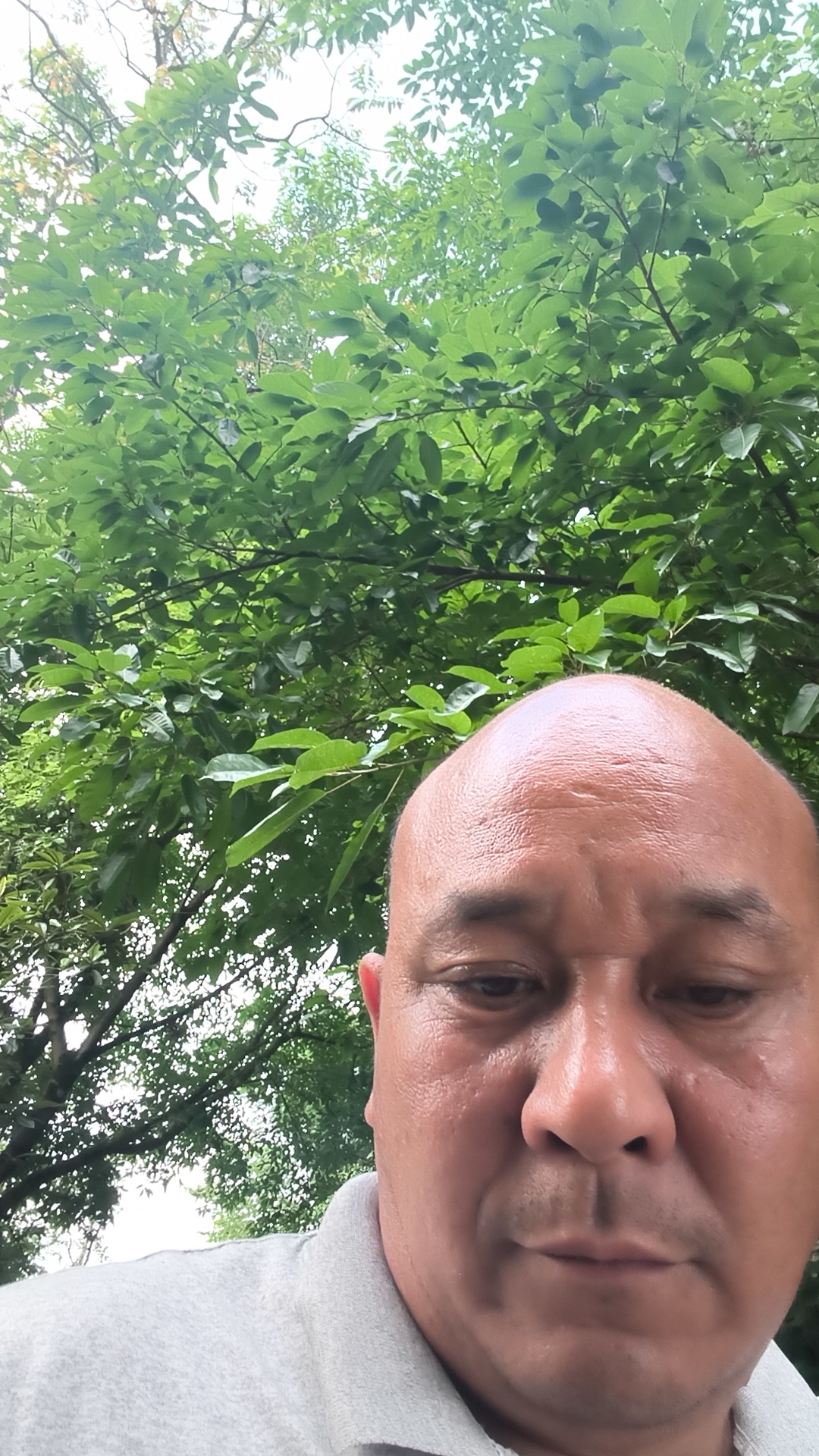 https://assets.gongji58.com/2026-07-23/2553241-9xb5plfa351784783014.jpg
