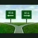 https://assets.gongji58.com/2026-08-17/2578971-g0khg2f8a81786962760.jpeg
