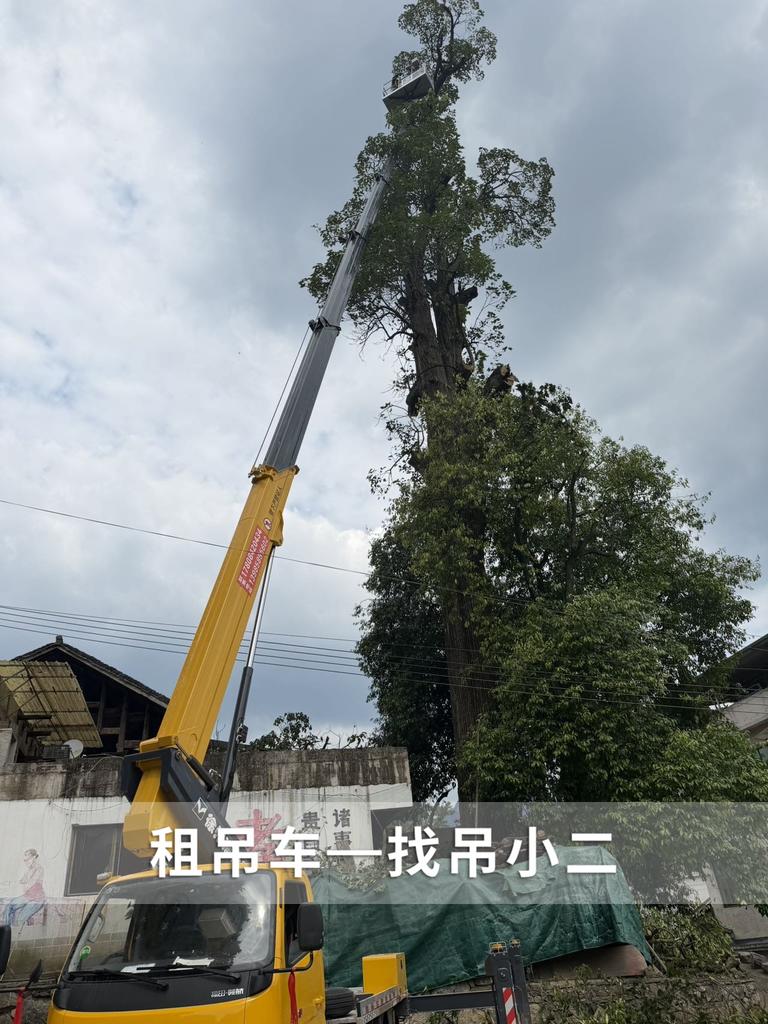 吊小二