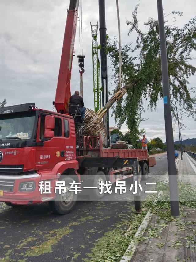 吊小二