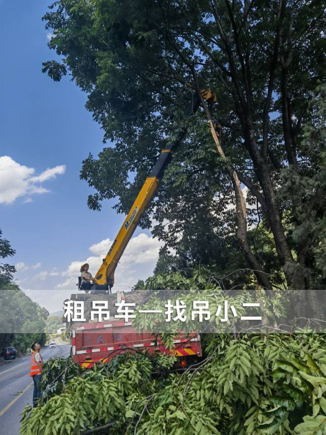 吊小二