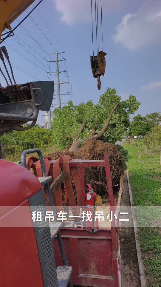 吊小二