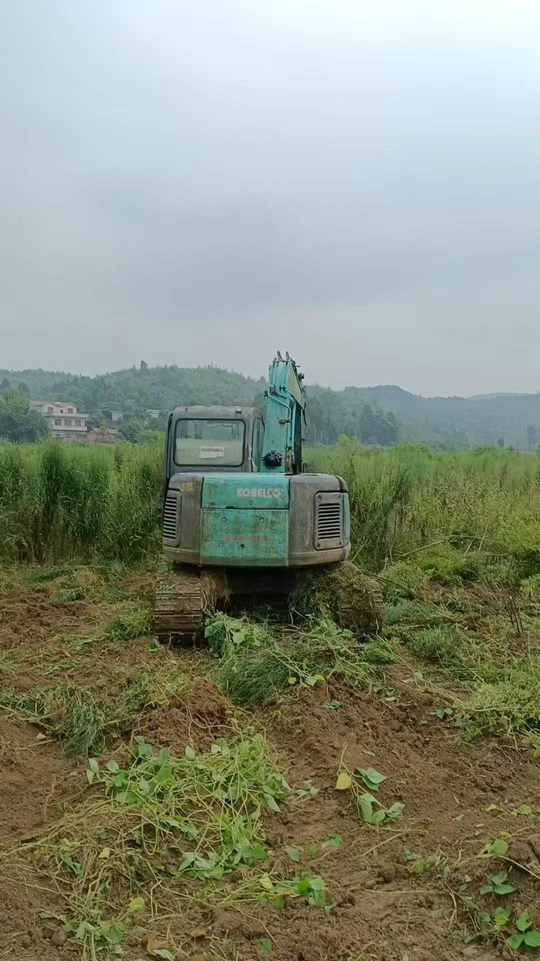 https://assets.gongji58.com/circle/2025-04-17/50xj2f8z131744856863.png?imageView2/0/w/2560/interlace/1