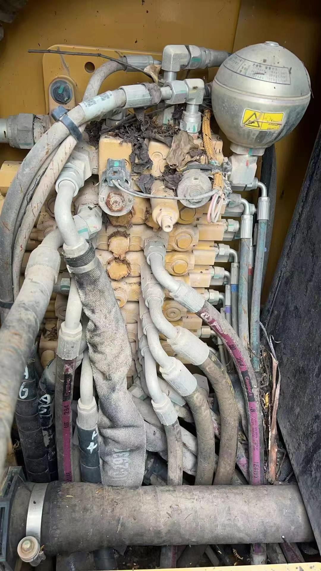 Buy Caterpillar 305.5 Used Excavator / 7 Used Caterpillar 305.5 Excavator 2019 Model / 7