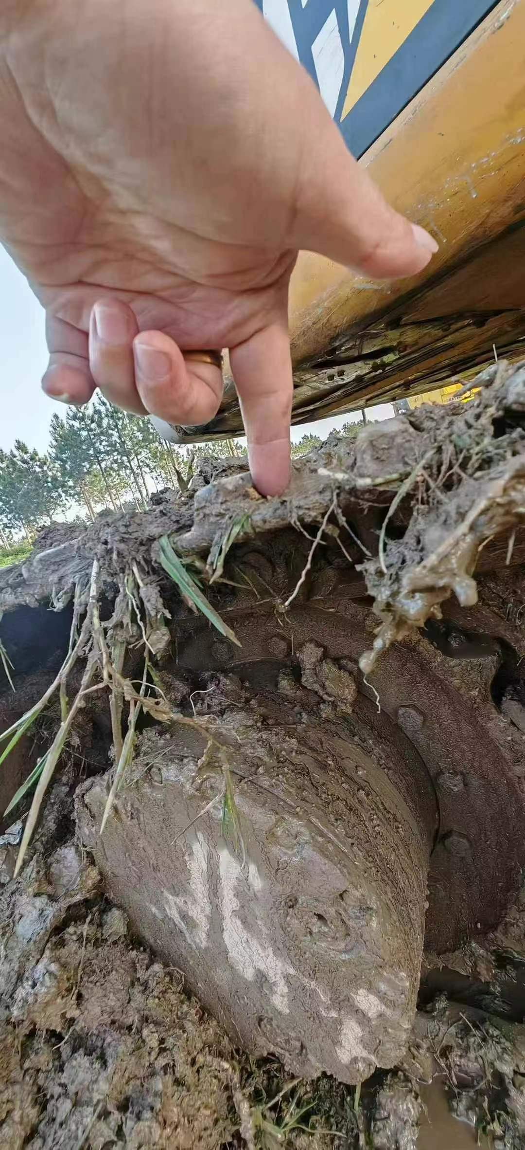 Buy Caterpillar 312D Used Excavator / 8 Used Caterpillar 312D Excavator 2016 Model / 8