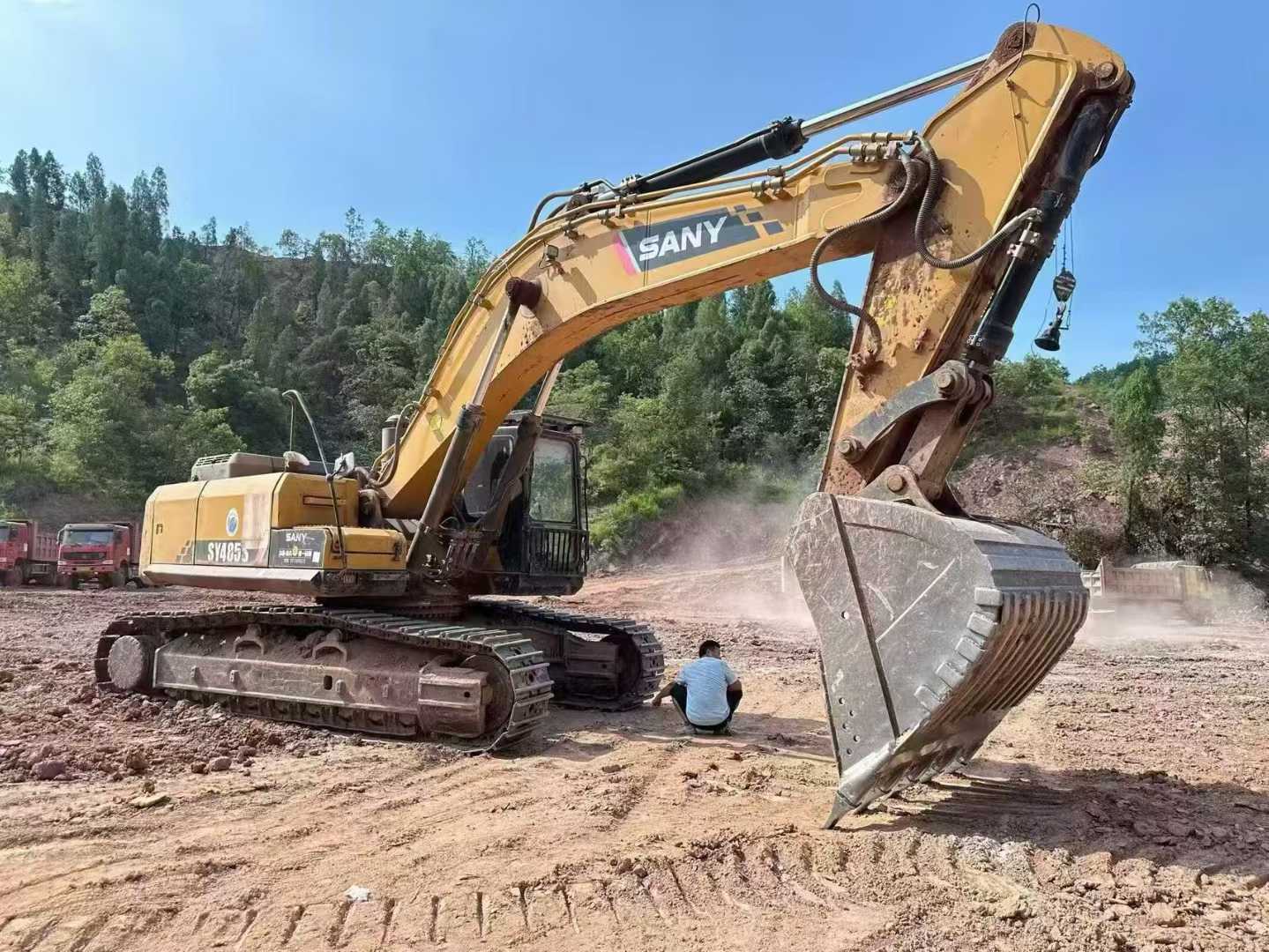 Buy Sany SY85 Used Excavator / 1