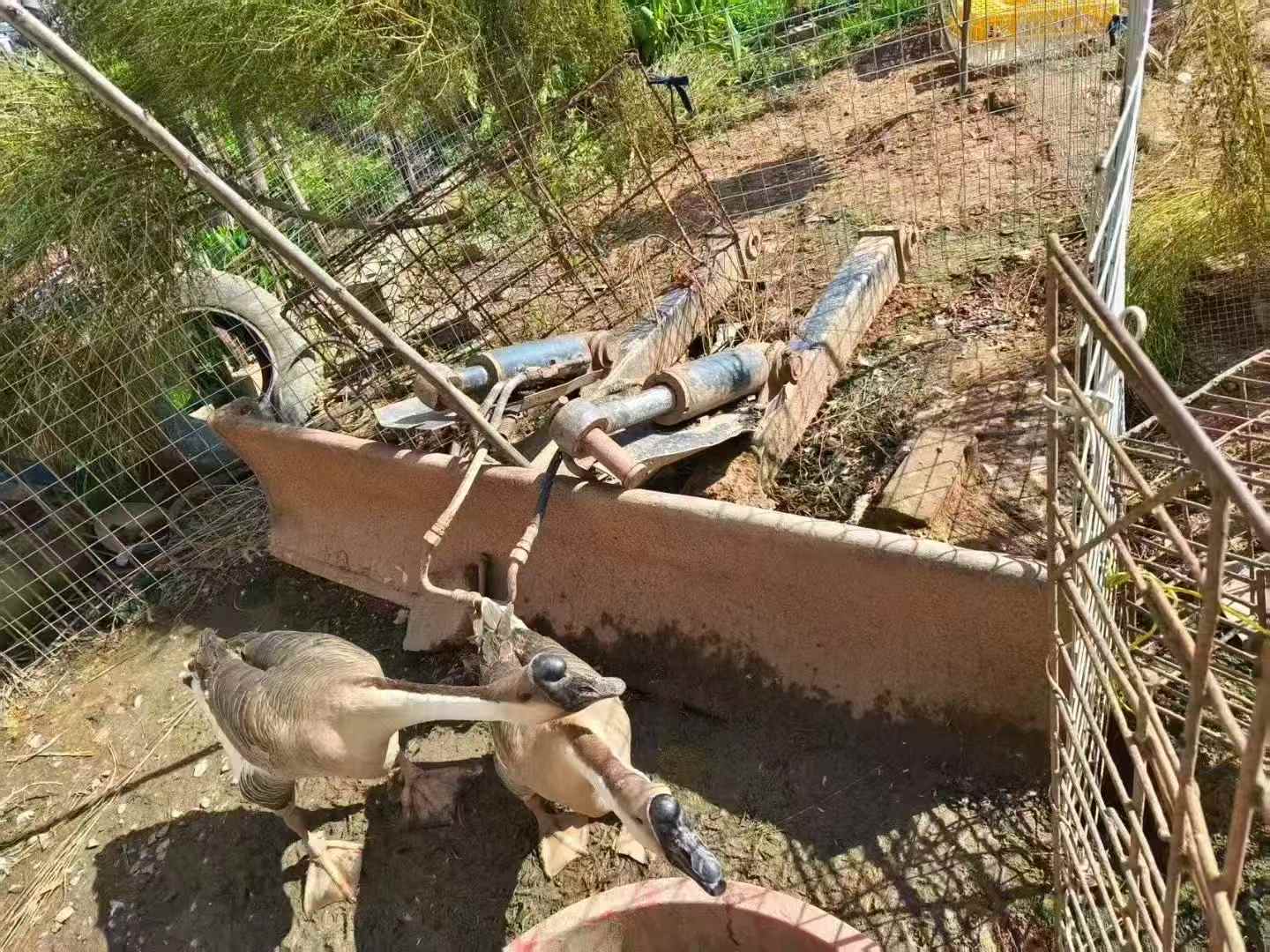 Used Caterpillar 307V2 Excavator 2016 Model / 3