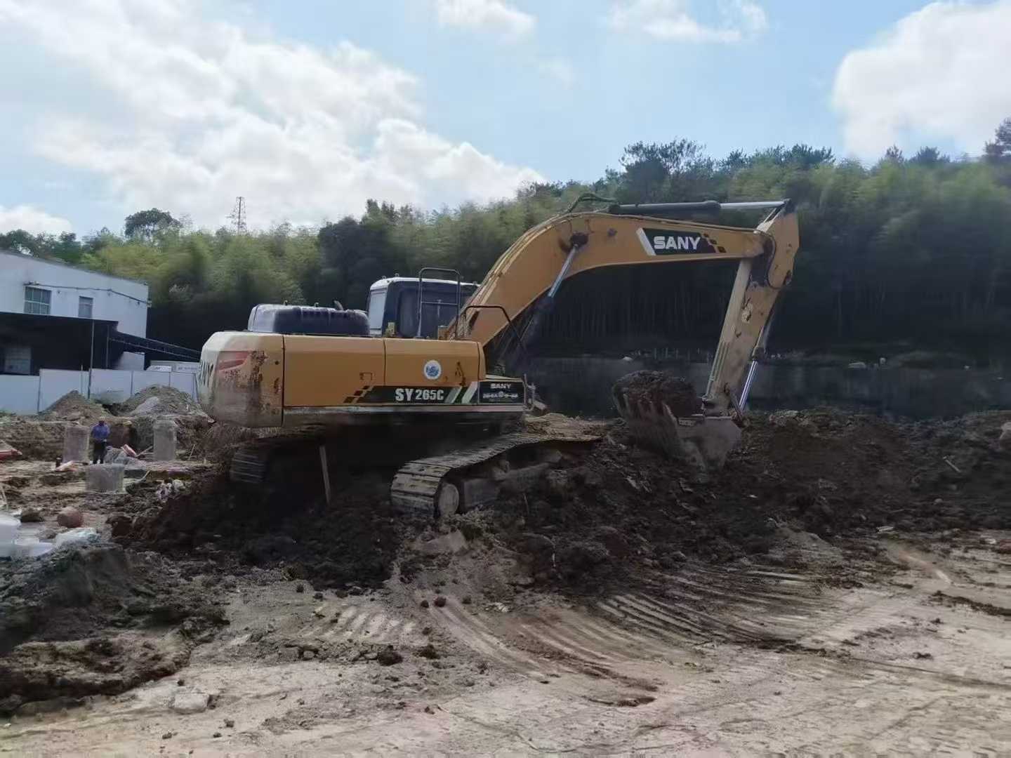 Used Sany SY245H Excavator 2018 Model / 7