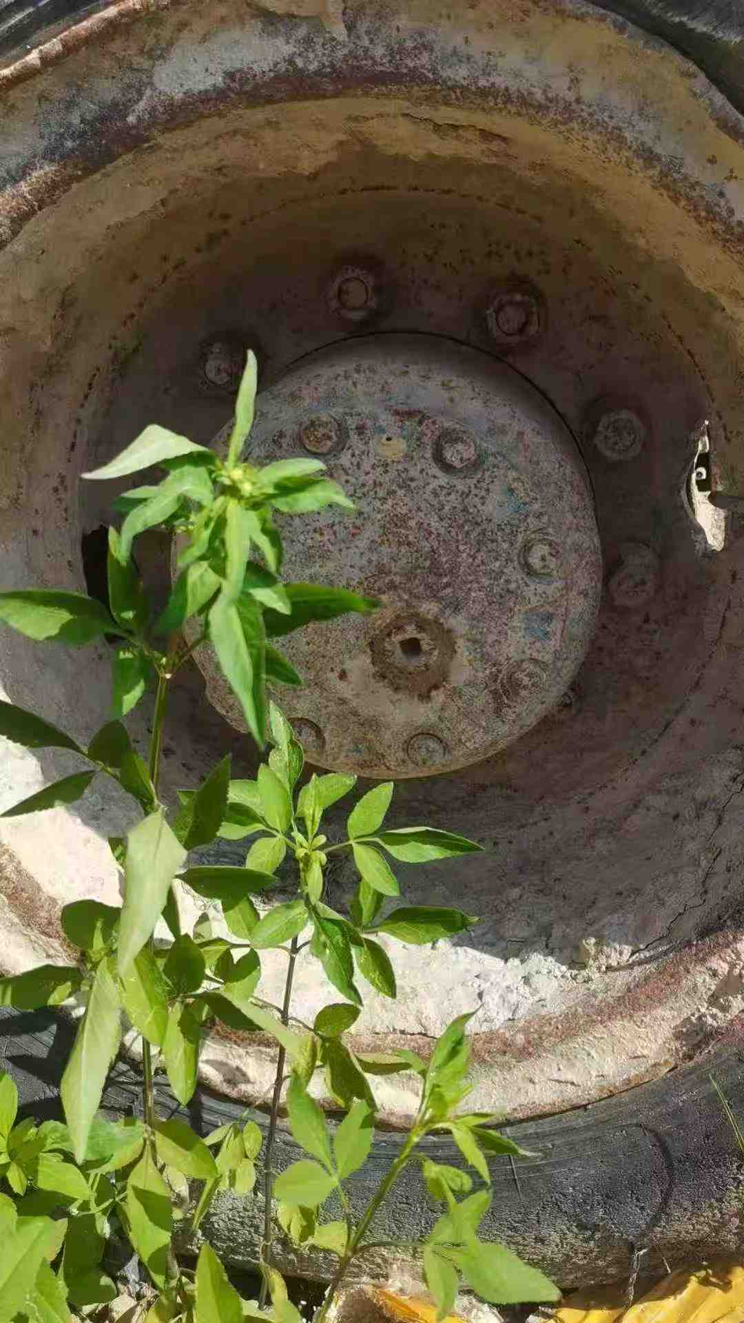 Buy Komatsu PW100 Used Excavator / 6 Used Komatsu PW100 Excavator 2016 Model / 6