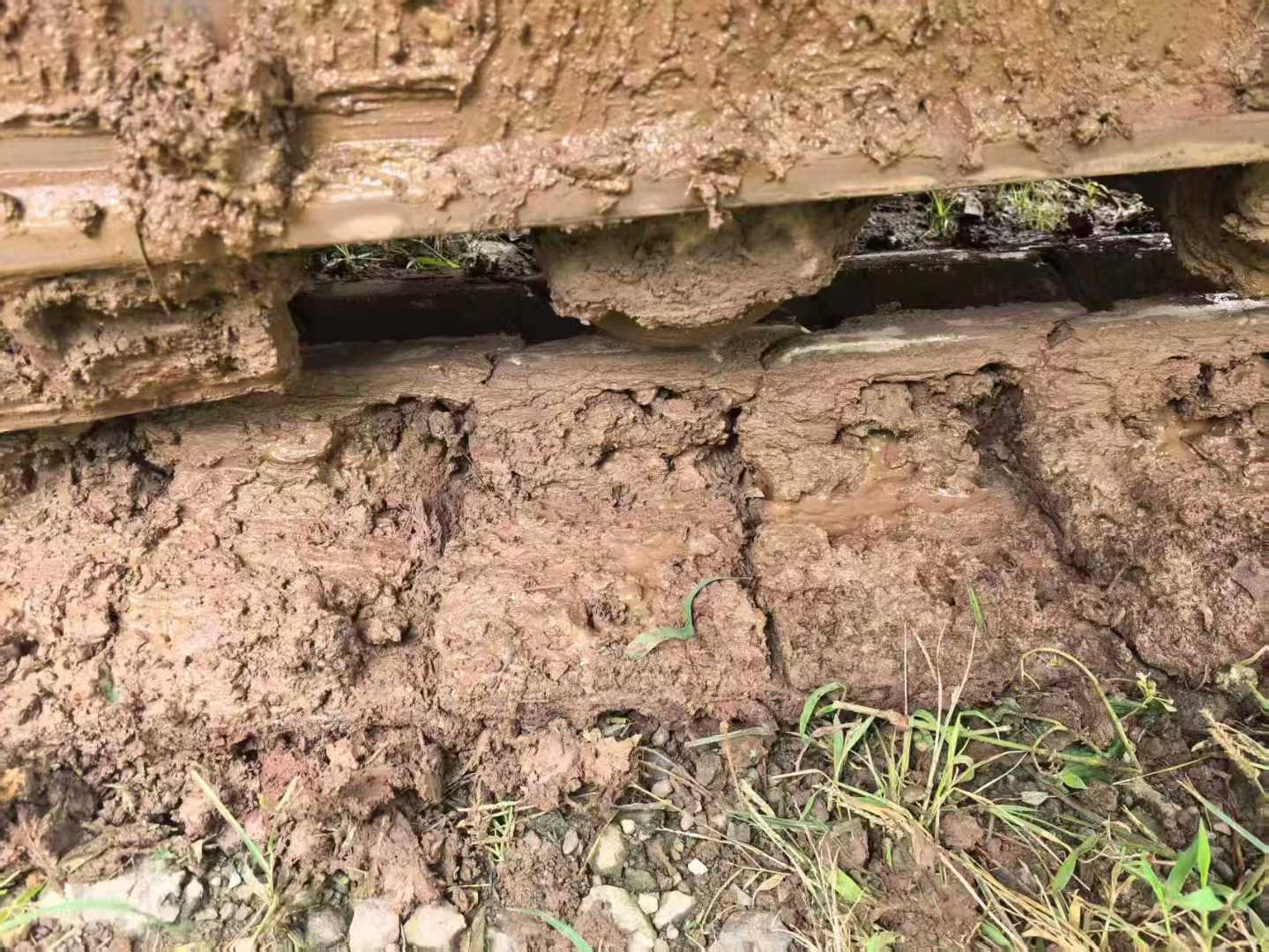 Used Sany SY55 Excavator 2020 Model / 3