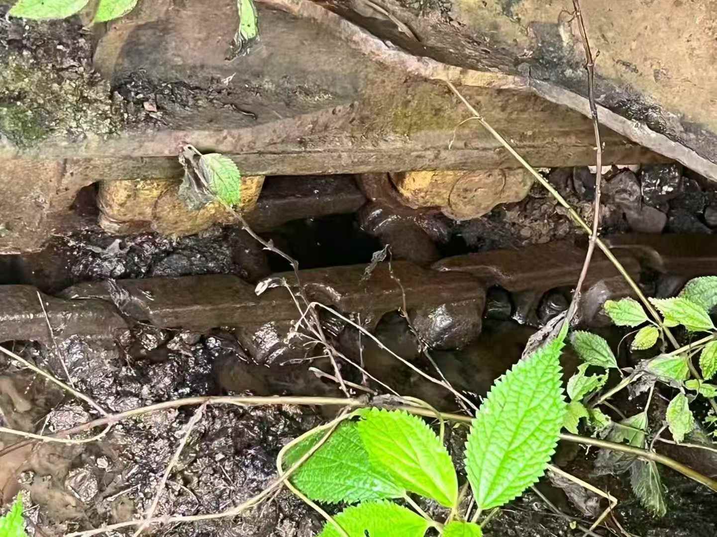 Used Doosan DX15 Excavator 2016 Model / 4