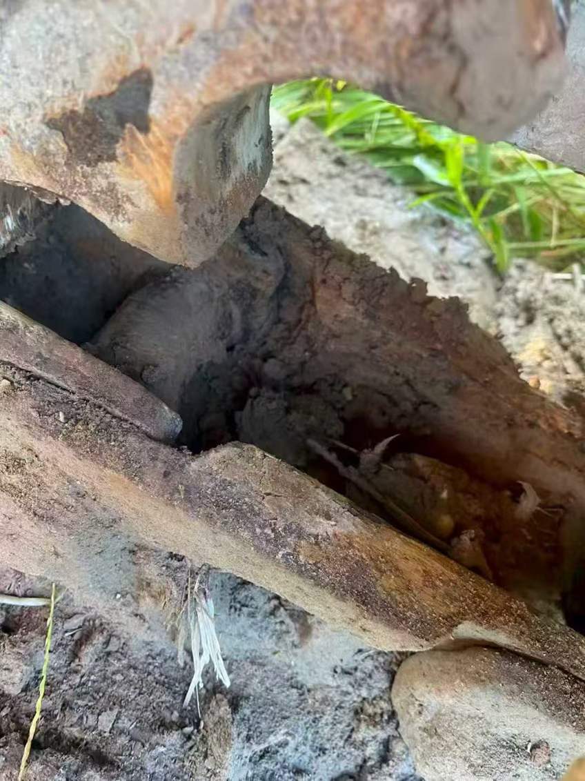 Used Sany SY65W Excavator 2016 Model / 9