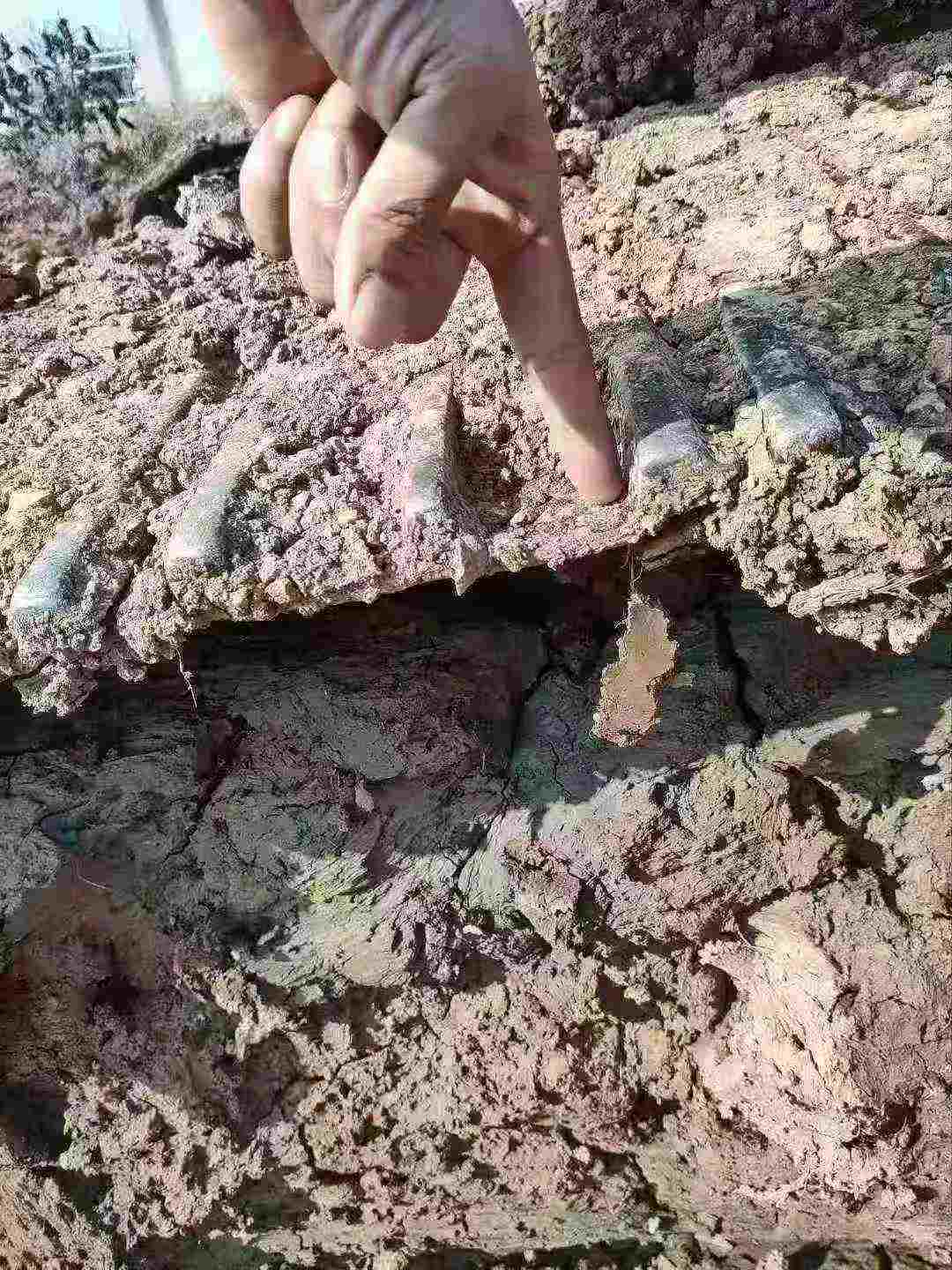 Used Kobelco SK210 Excavator 2012 Model / 5