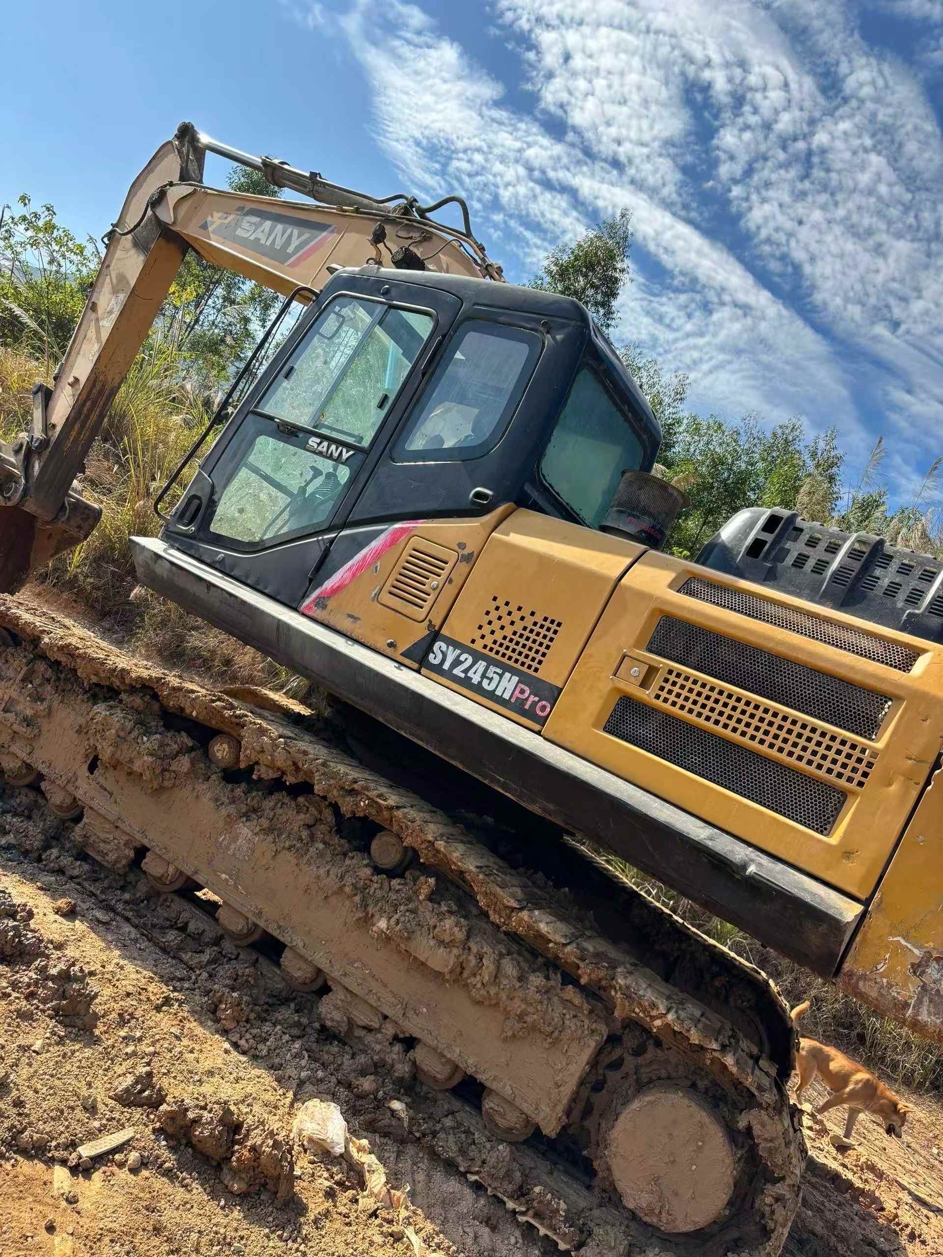 Used Sany SY245H Excavator 2020 Model / 3