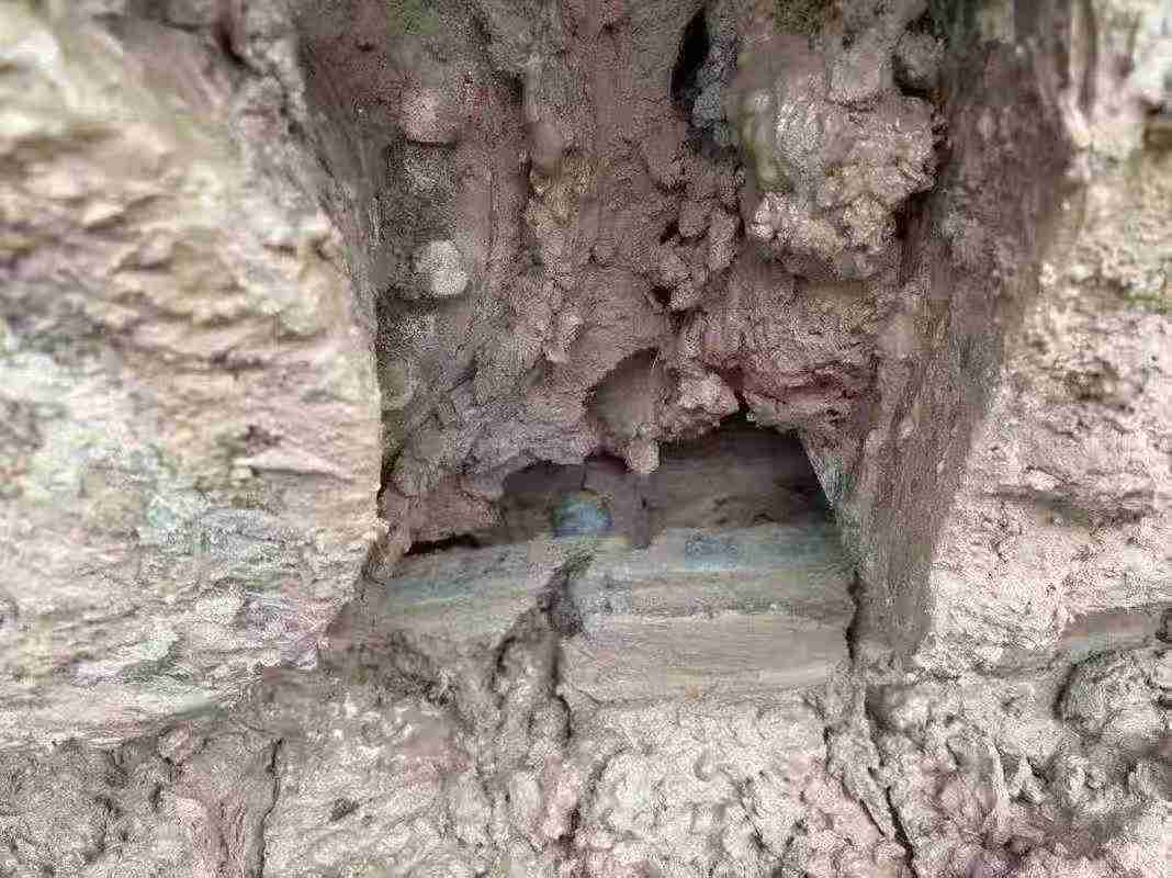 Used Kobelco SK75 Excavator 2021 Model / 4