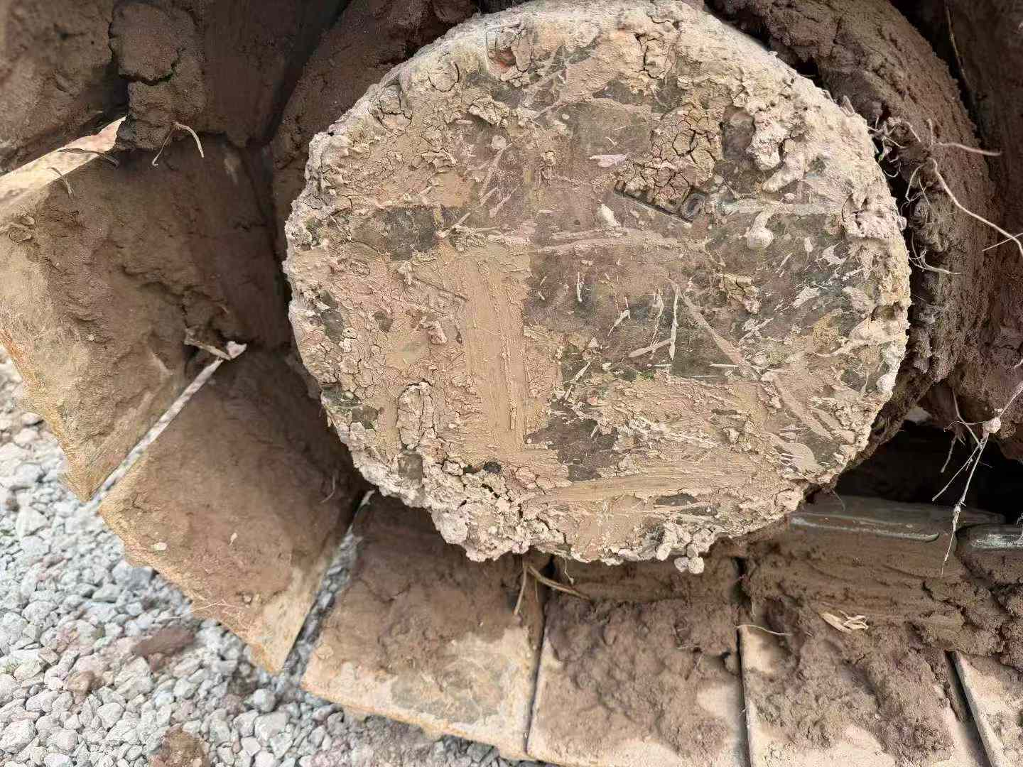 Used Sany SY205H Excavator 2020 Model / 9