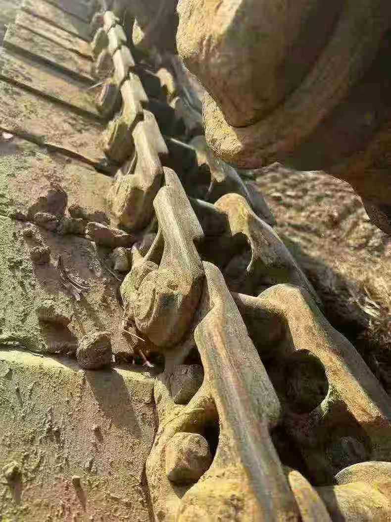 Used Hitachi ZAXIS200 Excavator 2016 Model / 8