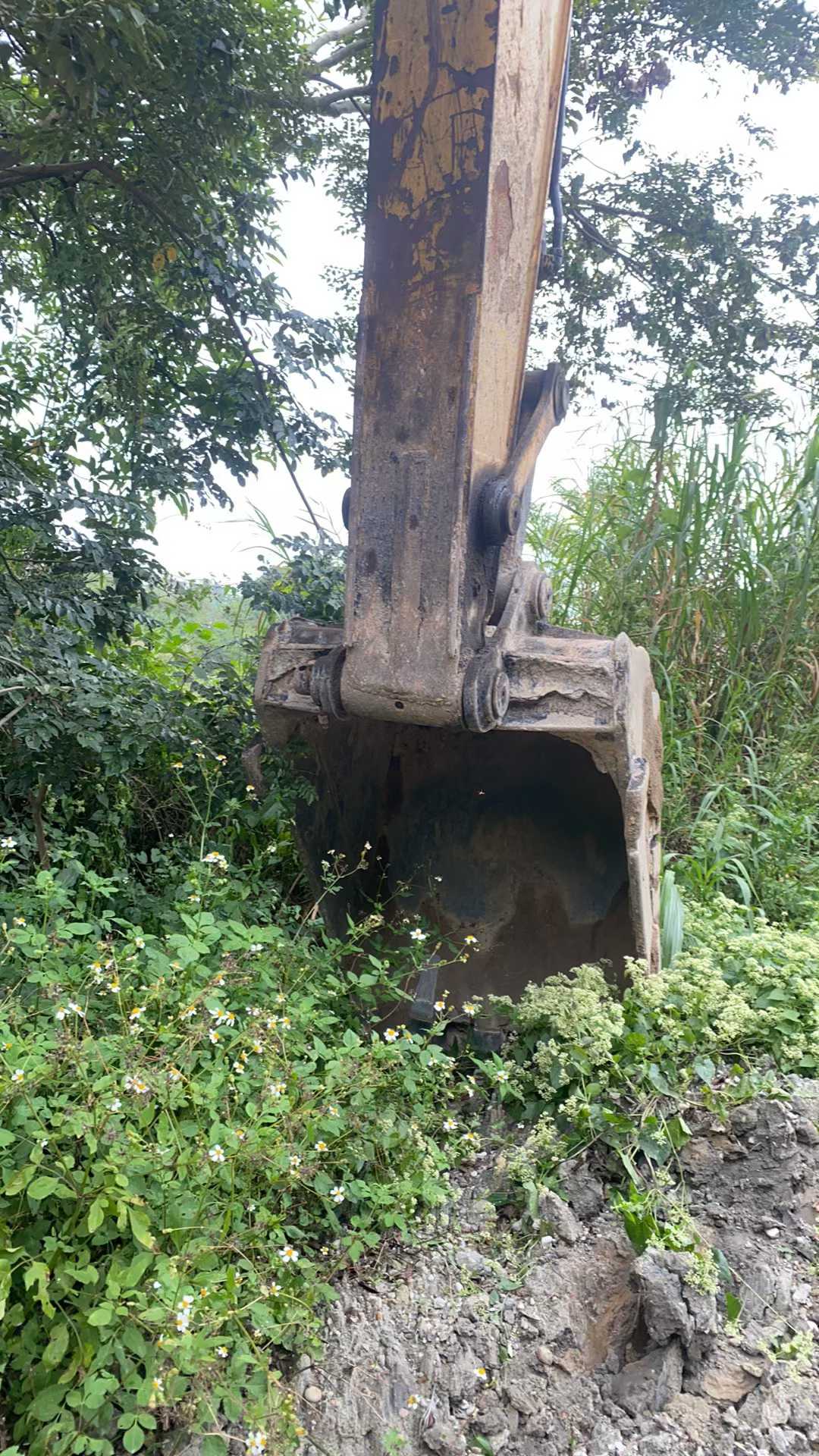 Used Caterpillar CT20 Excavator 2016 Model / 2