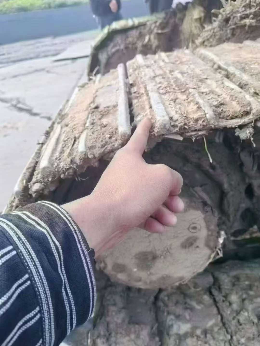 Buy Sany SY75 Used Excavator / 8 Used Sany SY75 Excavator 2021 Model / 8