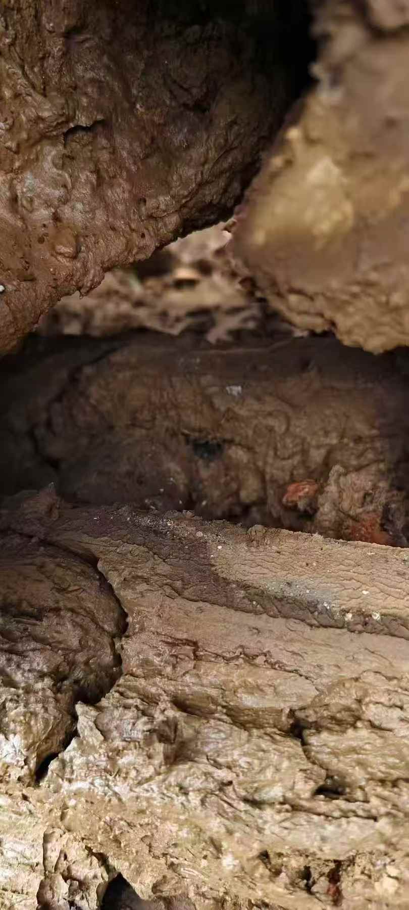 Buy Volvo EW55 Used Excavator / 7 Used Volvo EW55 Excavator 2019 Model / 7