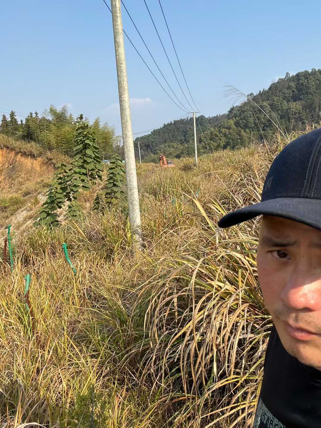 Buy Hitachi ZX50 Used Excavator / 1