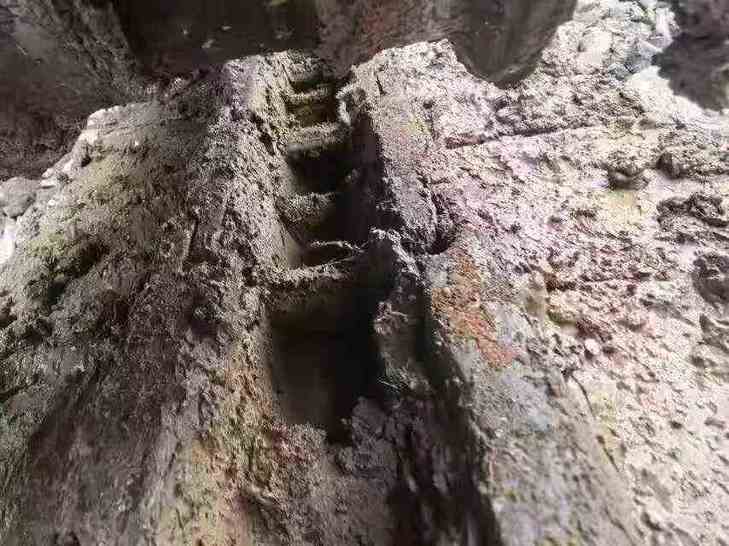 Buy Hyundai HX60 Used Excavator / 1