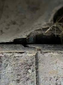 Buy Komatsu PC60 Used Excavator / 9 Used Komatsu PC60 Excavator 2010 Model / 9