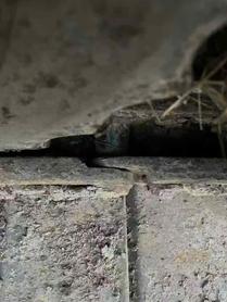 Buy Komatsu PC60 Used Excavator / 9 Used Komatsu PC60 Excavator 2010 Model / 9