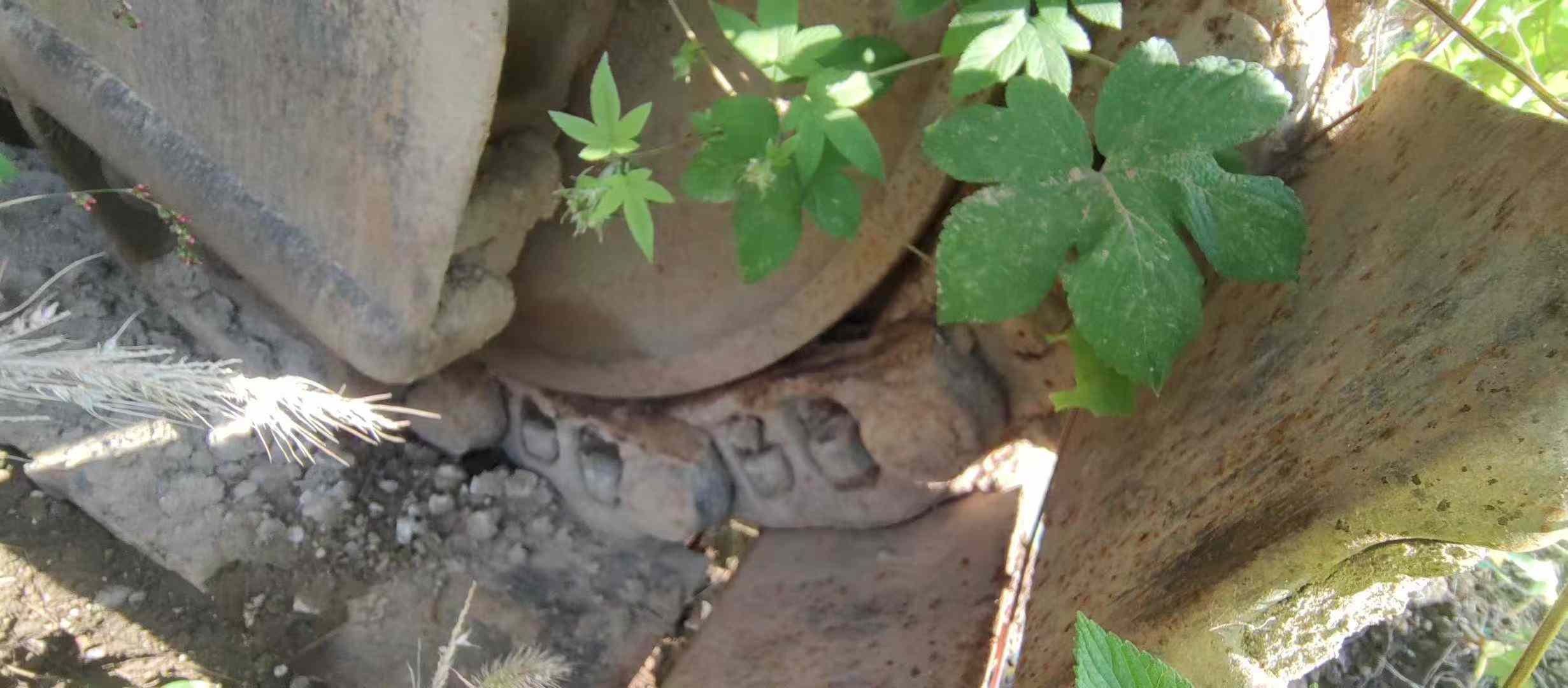 Buy Hitachi ZX50 Used Excavator / 5 Used Hitachi ZX50 Excavator 2016 Model / 5