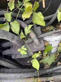 Buy Caterpillar 320D Used Excavator / 6 Used Caterpillar 320D Excavator 2016 Model / 6