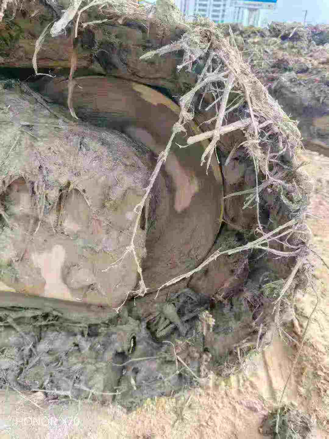 Buy Sany SY75 Used Excavator / 7 Used Sany SY75 Excavator 2020 Model / 7