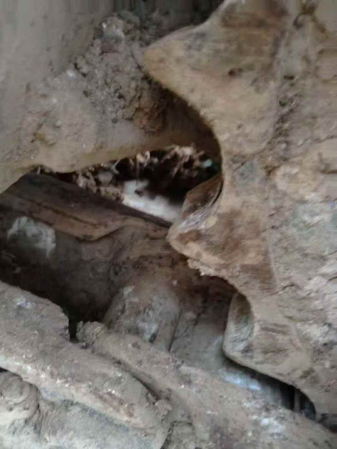 Buy Caterpillar 320C Used Excavator / 9 Used Caterpillar 320C Excavator 2016 Model / 9