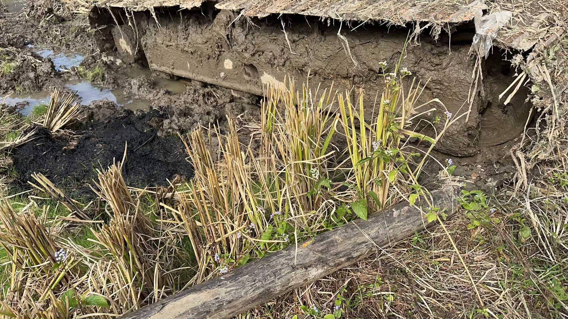 Buy Caterpillar CT08 Used Excavator / 7 Used Caterpillar CT08 Excavator 2016 Model / 7