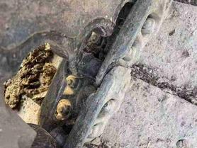 Buy Sany SY75 Used Excavator / 4 Used Sany SY75 Excavator 2016 Model / 4