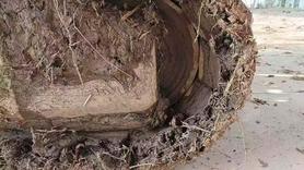 Buy Komatsu PC200-8 Used Excavator / 9 Used Komatsu PC200-8 Excavator 2010 Model / 9