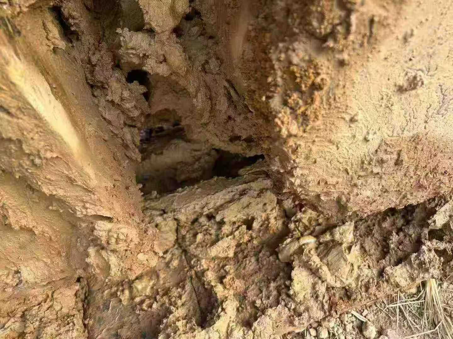 Used Kobelco SK200 Excavator 2015 Model / 5