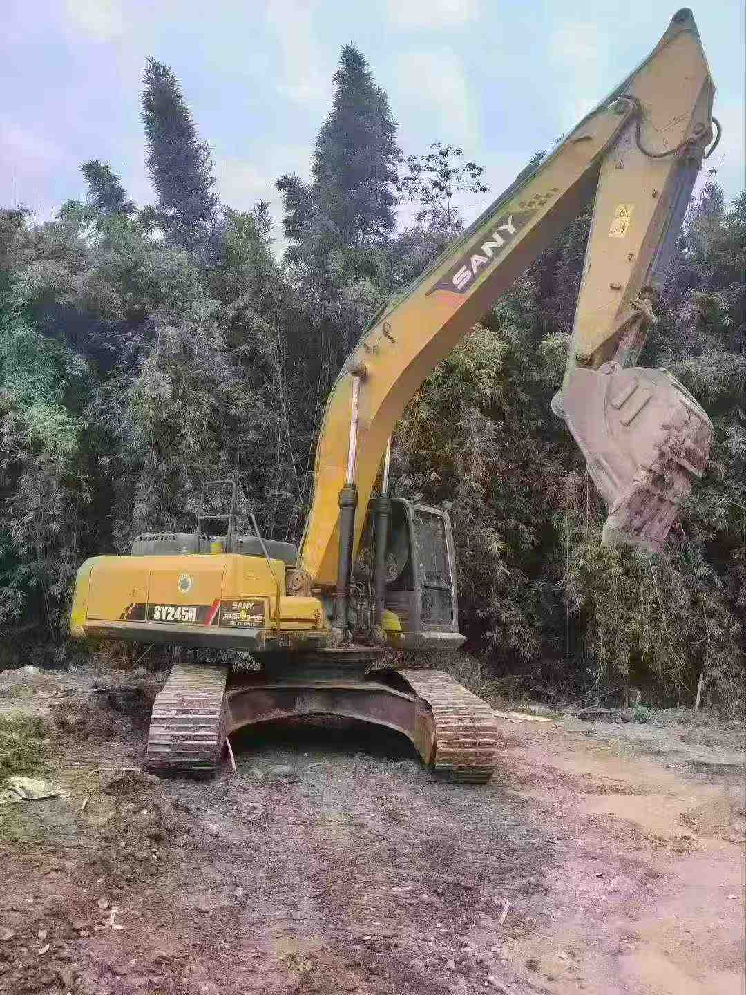 Used Sany SY245H Excavator 2017 Model / 4